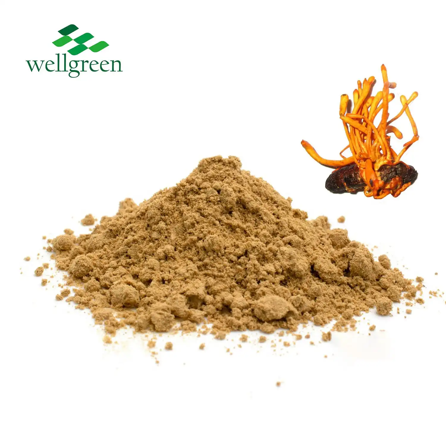 Organic Cordyceps Mushroom Powder